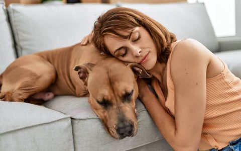 Big Cat Wife Comparison: Top Picks for Safe Pet Playtime