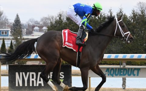 Andy Serling Picks Today Compare His Tips to Other Experts