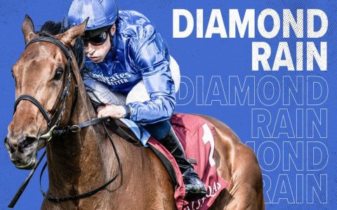 Go for Wand Horse: A Look Back at Her Greatest Wins