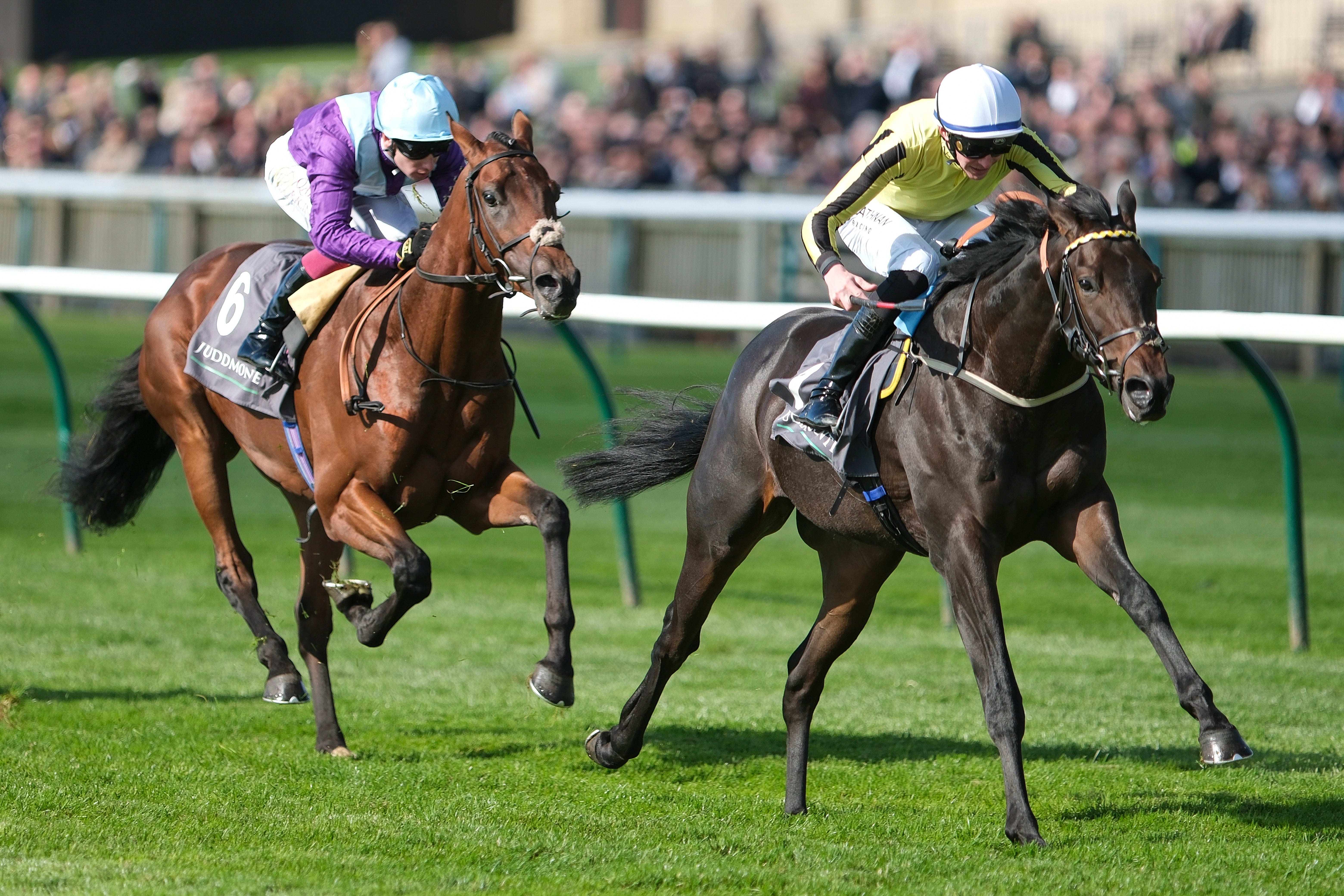 How to Bet on 2000 Guineas Simple Tips for Beginners