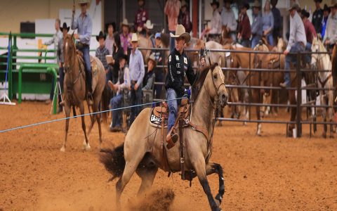 Horse racing rebate deals comparison? Find best sites for real savings!