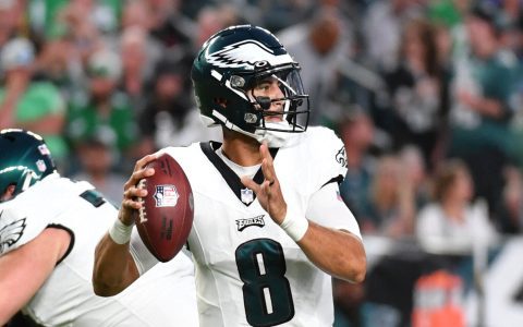 Brian Hoyer Net Worth Update: Current Salary And Career Money