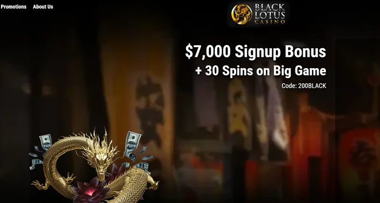 Use Black Lotus Casino bonus codes correctly (Avoid common mistakes fast guide)