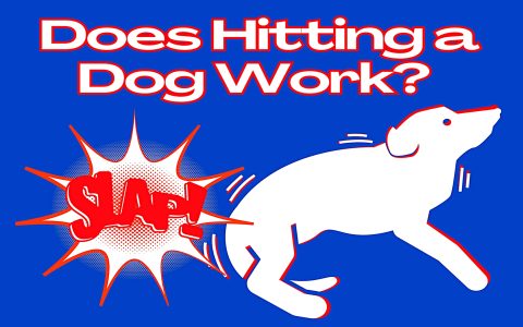 Is tailed meaning in betting confusing? (Fix Common Mistakes with These Tips)