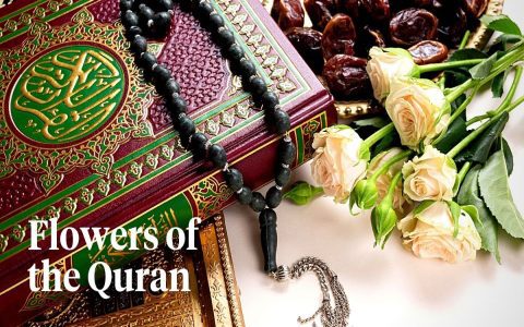 What Does Jamir Mean? Discover Its Religious & Cultural Significance