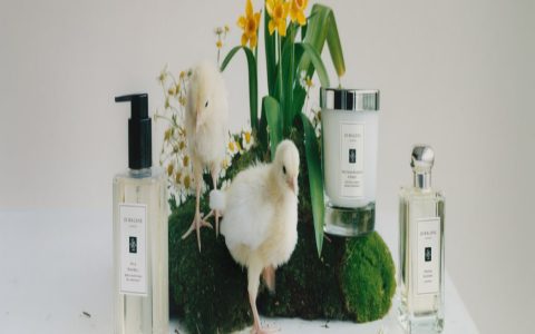 How to wear cologne jordan? Easy guide for perfect scent.