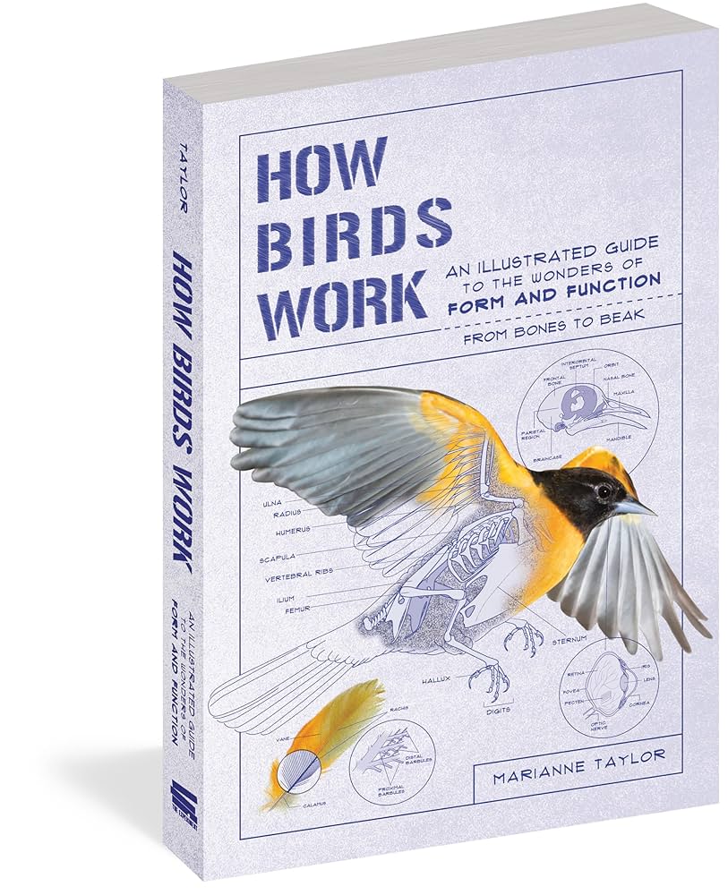 How bird parish mchale works: simple guide for beginners today.