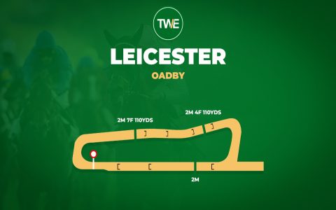 How to Bet on Leicester Manager Odds Tips and Key Bookmakers