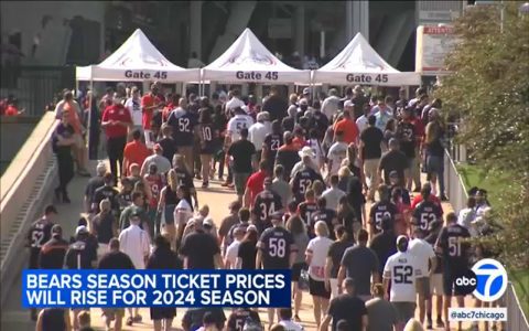How Much Is Average NFL Ticket Price 2024? See Real Game Costs!