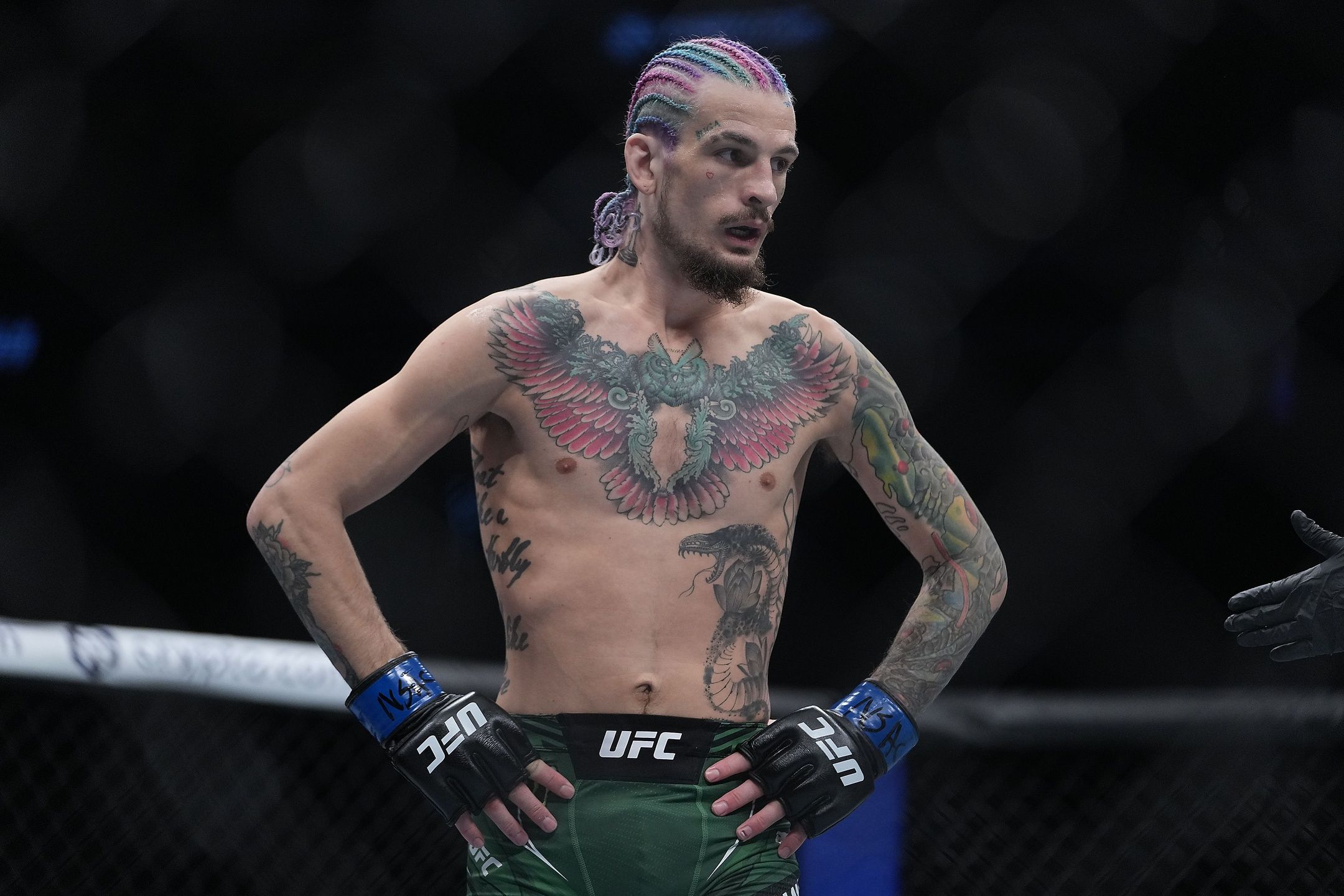 Whats Suga Sean Net Worth How Much UFC Star Made in 2024