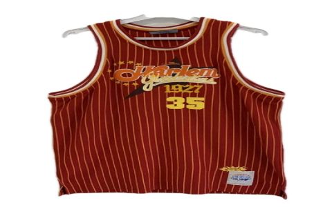 marc iavaroni larry bird story - discover their nba journey secrets