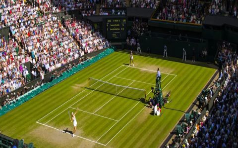 How many courts at Wimbledon include show courts? Find famous ones count