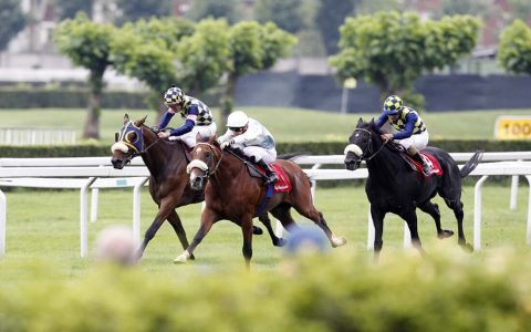 What Does Off Track Betting Mean? Discover Benefits & How to Start