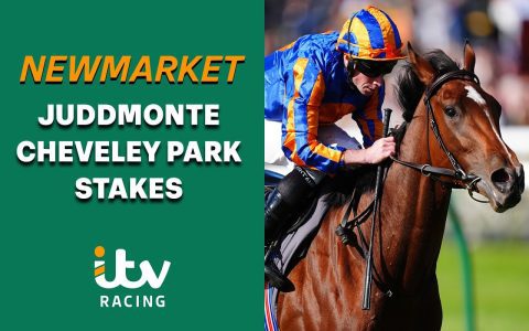 How does Aidan OBrien train horses? Top secrets for racing success!