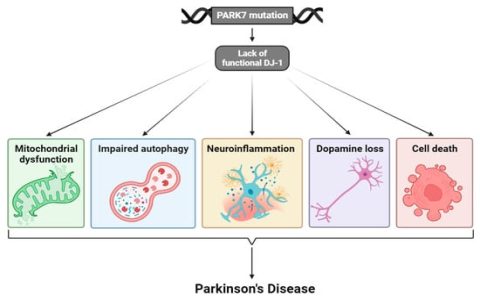 DJ Siddiqi Fan Tips, How to Catch His Live Shows Remotely!