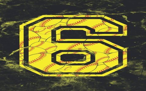 Why choose jersey number 6 meaning and cool facts for fans